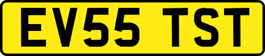 EV55TST