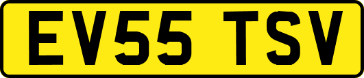 EV55TSV