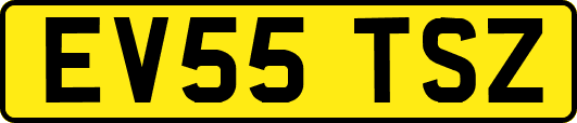 EV55TSZ