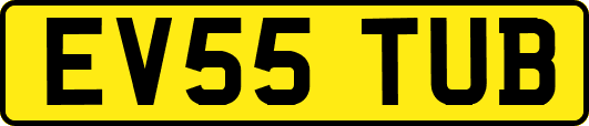EV55TUB