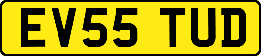 EV55TUD