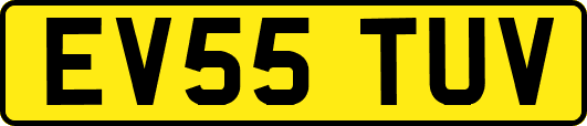 EV55TUV