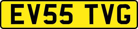 EV55TVG