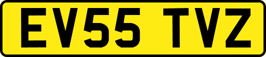 EV55TVZ