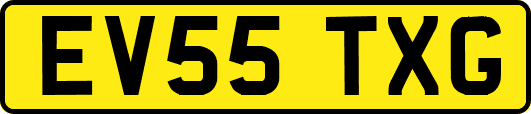 EV55TXG