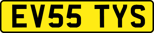 EV55TYS