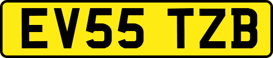 EV55TZB