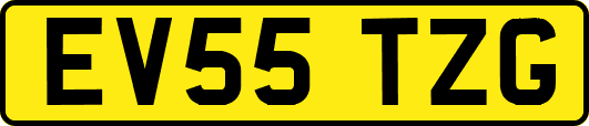 EV55TZG