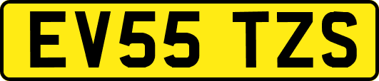 EV55TZS