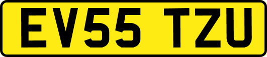 EV55TZU