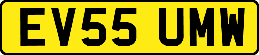 EV55UMW