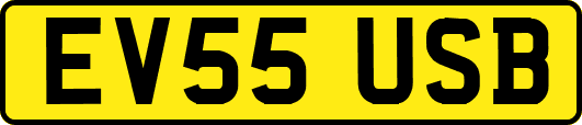 EV55USB