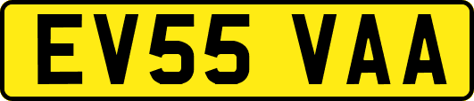 EV55VAA