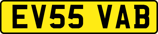 EV55VAB
