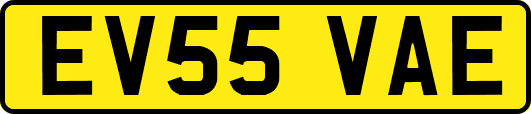 EV55VAE