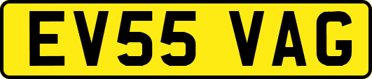 EV55VAG