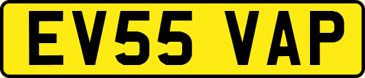 EV55VAP