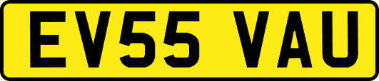 EV55VAU