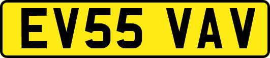 EV55VAV