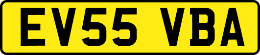 EV55VBA