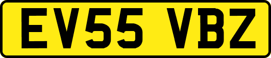 EV55VBZ