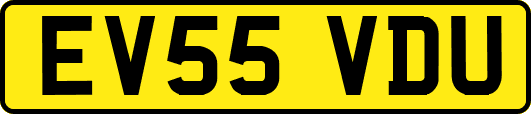 EV55VDU