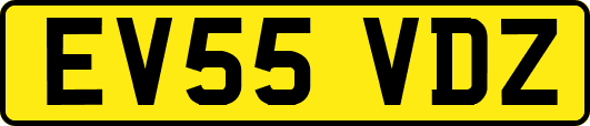 EV55VDZ