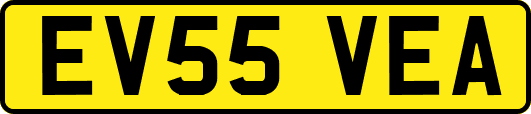 EV55VEA