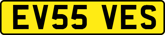 EV55VES