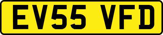 EV55VFD