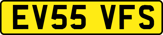 EV55VFS