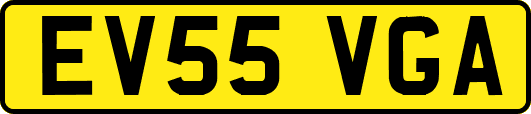 EV55VGA