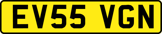 EV55VGN