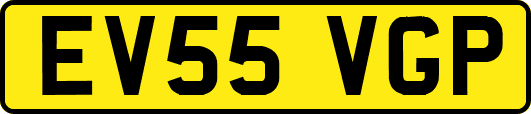 EV55VGP