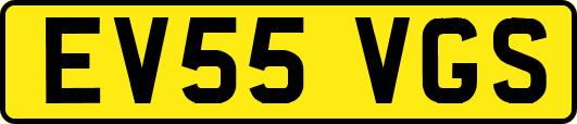 EV55VGS
