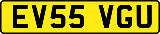 EV55VGU