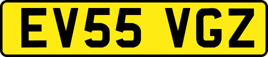 EV55VGZ