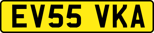 EV55VKA