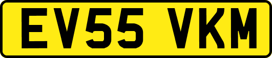 EV55VKM
