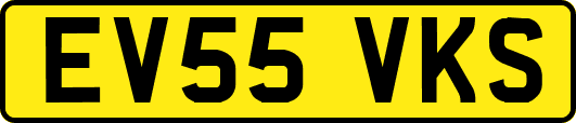 EV55VKS
