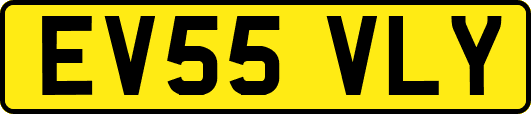 EV55VLY