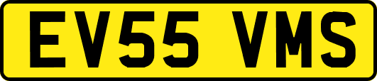 EV55VMS