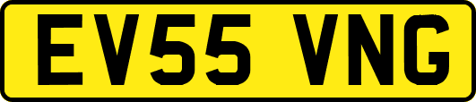 EV55VNG