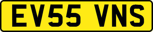 EV55VNS