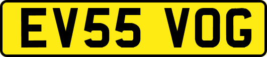 EV55VOG