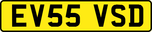EV55VSD
