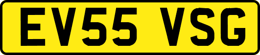 EV55VSG