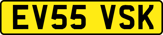 EV55VSK
