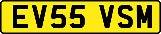 EV55VSM