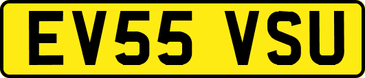 EV55VSU